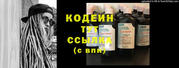 крисы Новокубанск