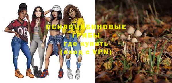 а пвп мука Нея