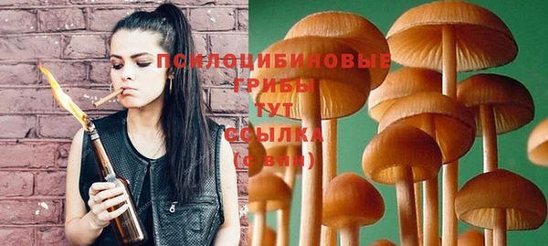 2c-b Нефтекумск