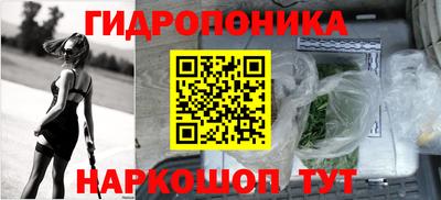 твердый Камышлов