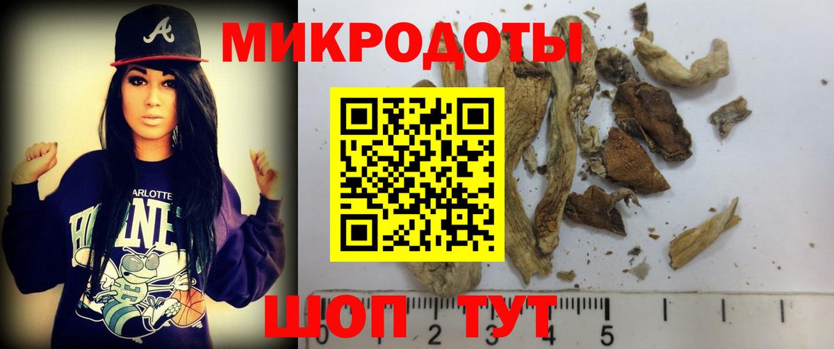 Галлюциногенные грибы мухоморы Кинель