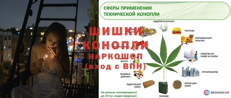 Канабис гибрид  Кинель 